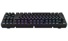 Endorfy herná klávesnica Thock TKL Wireless Black / RGB / black sw. / bezdrôtová / mechanická / CZ/SK layout / čierna