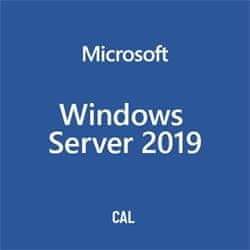 Microsoft OEM Windows Server CAL 2019 English 1pk DSP OEI 5 Clt User CAL