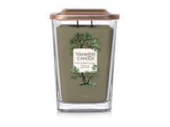 Yankee Candle Vetiver & Black Cypress sviečka 553g, 2 knôty