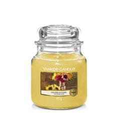 Yankee Candle Aromatická sviečka Classic stredná Golden Autumn 411 g