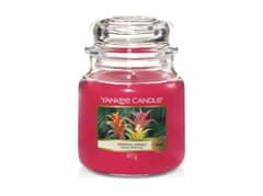 Yankee Candle Tropical Jungle sviečka 411g