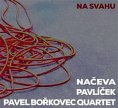Na svahu - Pavel Bořkovec Quartet CD