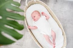 AHOJBABY Košík prebaľovací pre bábätko Smart Basket natural + podložka