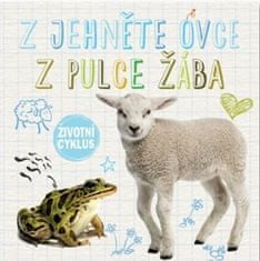 Svojtka Z jahňa ovce, z žubrienky žaba - Životný cyklus