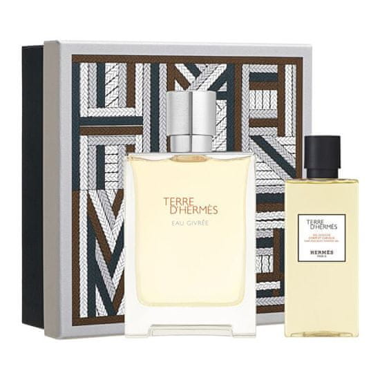 Hermès Terre d`Hermès Eau Givrée - EDP 100 ml + sprchový gel 80 ml