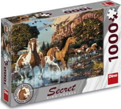 DINO Puzzle Secret Collection: Kone 1000 dielikov