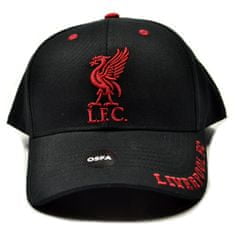 Fan-shop Kšiltovka LIVERPOOL FC Mass Frost black