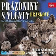 Bráškové, prázdniny s vlčatami - CD