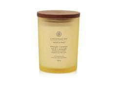 Chesapeake Bay Vonná sviečka CANDLE Strength & Energy 250g