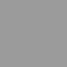 Petromila vidaXL Záhradná kôlňa sivá 277x93x179 cm pozinkovaná oceľ