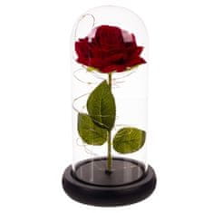 Malatec Ruža v skle svietiaca