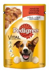 Pedigree kapsa Adult hovädzie v želé 100g