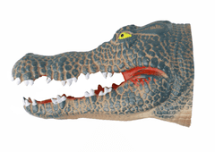 Mamido Maňuška na ruku krokodíl sivý