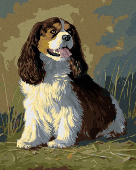 ZUTY Diamantové maľovanie - CAVALIER KING CHARLES SPANIEL (JAMES HAUTMAN) YES 40x50 cm