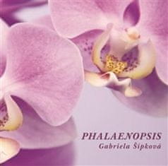 Gabriela Šípková: Phalaenopis