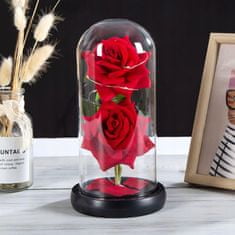 Korbi Večná ruža pod tienidlom, červená led ruža, darček na deň svätého Valentína alebo deň žien, WR6