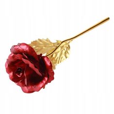 Korbi Červená večná ruža s nápisom láska, darček na deň svätého Valentína alebo deň žien, WR10