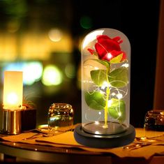 Korbi Červená večná ruža pod tienidlom, led ruža, darček na deň svätého Valentína alebo deň žien, WR7