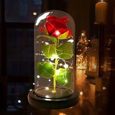 Korbi Červená večná ruža pod tienidlom, led ruža, darček na deň svätého Valentína alebo deň žien, WR7