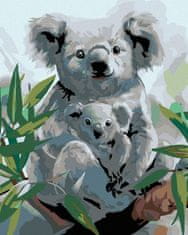 ZUTY Diamantové maľovanie - KOALA S MLÁĎATKOM 40x50 cm NO