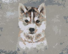 ZUTY Diamantové maľovanie - HUSKY NA SIVOM POZADÍ 40x50 cm NO