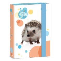 Ars Una Školský box A5 Cute HEDGEHOG ARS UNA