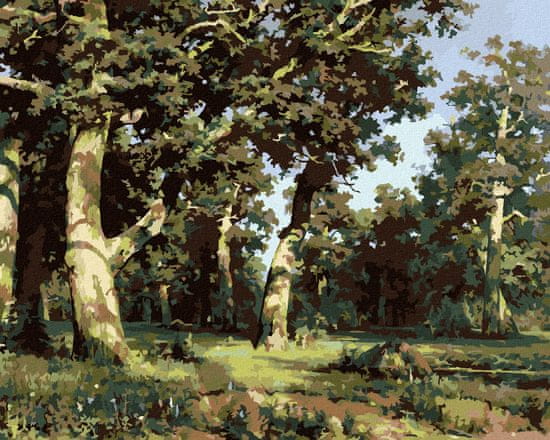 ZUTY Diamantové maľovanie - DUBOVÝ HÁJ (IVAN SHISHKIN) 40x50 cm NO