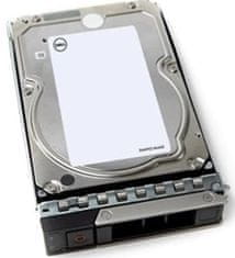 Dell/4TB/HDD/3.5"/SATA/7200 RPM/1R