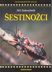 Jiří Zahradník: Šestinožci