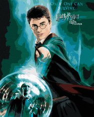 ZUTY Maľovanie podľa čísel - PLAGÁT HARRY POTTER A FÉNIXOV PORIADOK - HARRY YES 40x50 cm