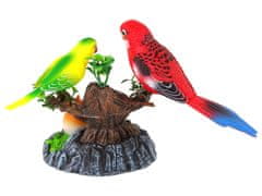 Mamido Spievajúci Pohyblivé Papagáje na Farebnom Strome