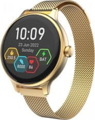 Carneo Hero mini HR+/Gold/Elegant Band/Gold