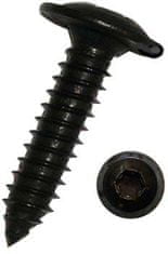 Dresselhaus Samorezné skrutky do plechu TORX 4,8x16 mm, nerezové A2, čierne, súprava 100 ks