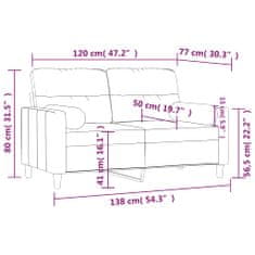 Petromila vidaXL 2-miestna pohovka s vankúšmi čierna 120 cm látka