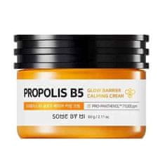 Vidaxl Propolis B5 Glow Barrier Calming Cream 60g