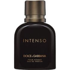 shumee Intenso Pour Homme parfémovaná voda v spreji 75 ml