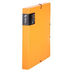 Karton PP Plastový box s gumičkou Opaline oranžový