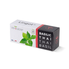 Véritable BIO sadenice Thajská bazalka