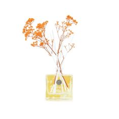 Ashleigh & Burwood Difúzer LIFE IN BLOOM - ORANGE BLOSSOM & MANDARIN