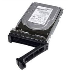 600GB Hard Drive SAS ISE 12Gbps 10k 512n 2.5in s 3.5in HYB CARR Hot-Plug CUS Kit