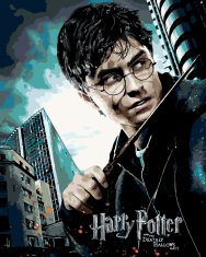 ZUTY Maľovanie podľa čísel - PLAGÁT HARRY POTTER A RELIKVIA SMRTI 40x50 cm NO