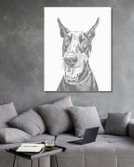 ZUTY Bodkovanie - DOBERMAN 40x50 cm NO