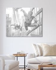 ZUTY Bodkovanie - SPIDERMAN A IRON MAN V LETE 40x50 cm NO