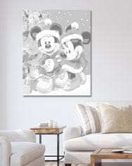 ZUTY Bodkovanie - MICKEY MOUSE A MINNIE VO VIANOČNOM 40x50 cm NO