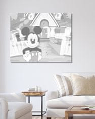 ZUTY Bodkovanie - MICKEY MOUSE PRED DOMČEKOM 40x50 cm NO