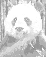 ZUTY Bodkovanie - FAREBNÁ PANDA 40x50 cm NO