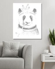 ZUTY Bodkovanie - BOHO PANDA 40x50 cm NO