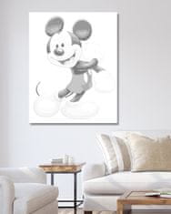 ZUTY Bodkovanie - USMIEVAVÝ MICKEY MOUSE 40x50 cm NO