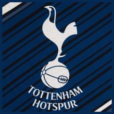 FAN SHOP SLOVAKIA Detské pyžamo Tottenham Hotspur FC, dlhý rukáv, nohavice | 11-12r