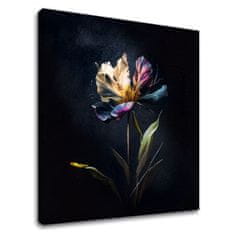 Dizajnová dekorácia na plátne Tajomný kvet v noci | 50x50 cm